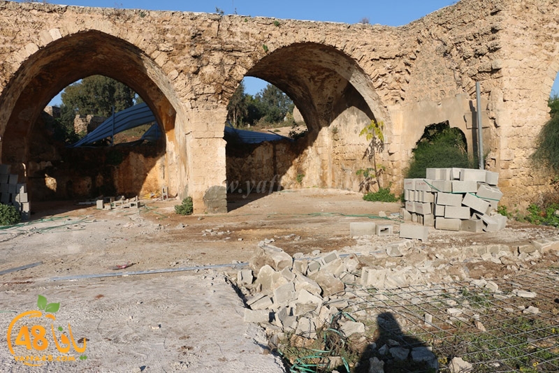 hadm tasoo3s (24).JPG